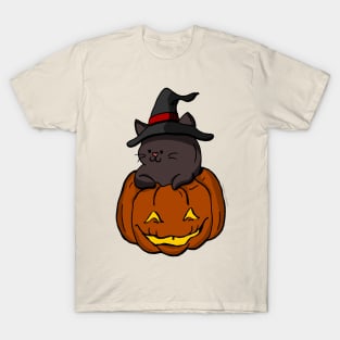 Cute Kittens - Pumpkin T-Shirt